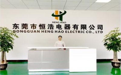 중국 Dongguan Heng Hao Electric Co., Ltd